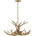 Daniels 6-Light Chandelier in Natural Antler
