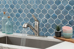 MSI 805 Brushed Nickel kitchen faucet installed in kitchen