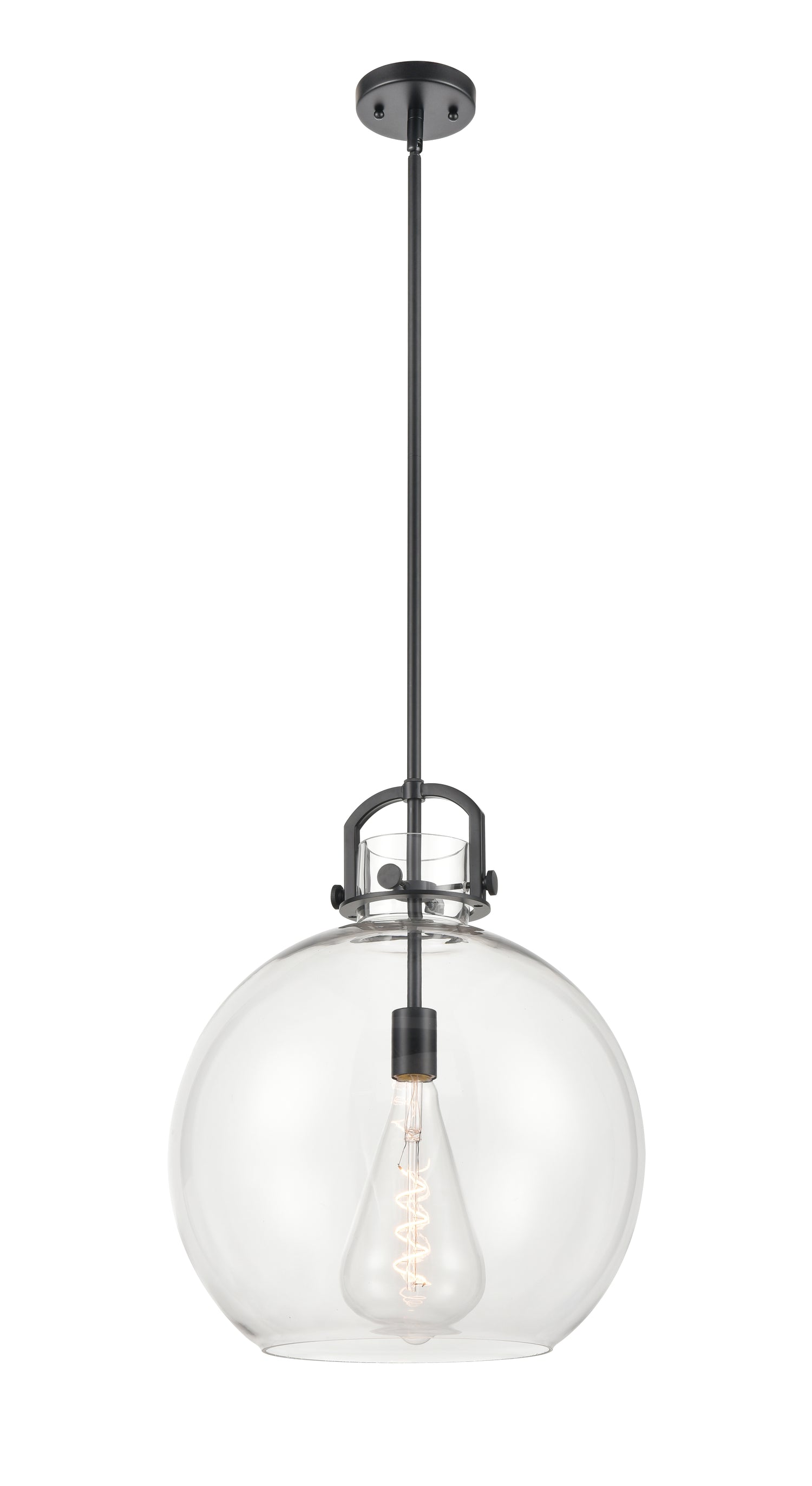 Newton Sphere - 1 Light - 16 inch - Matte Black - Pendant