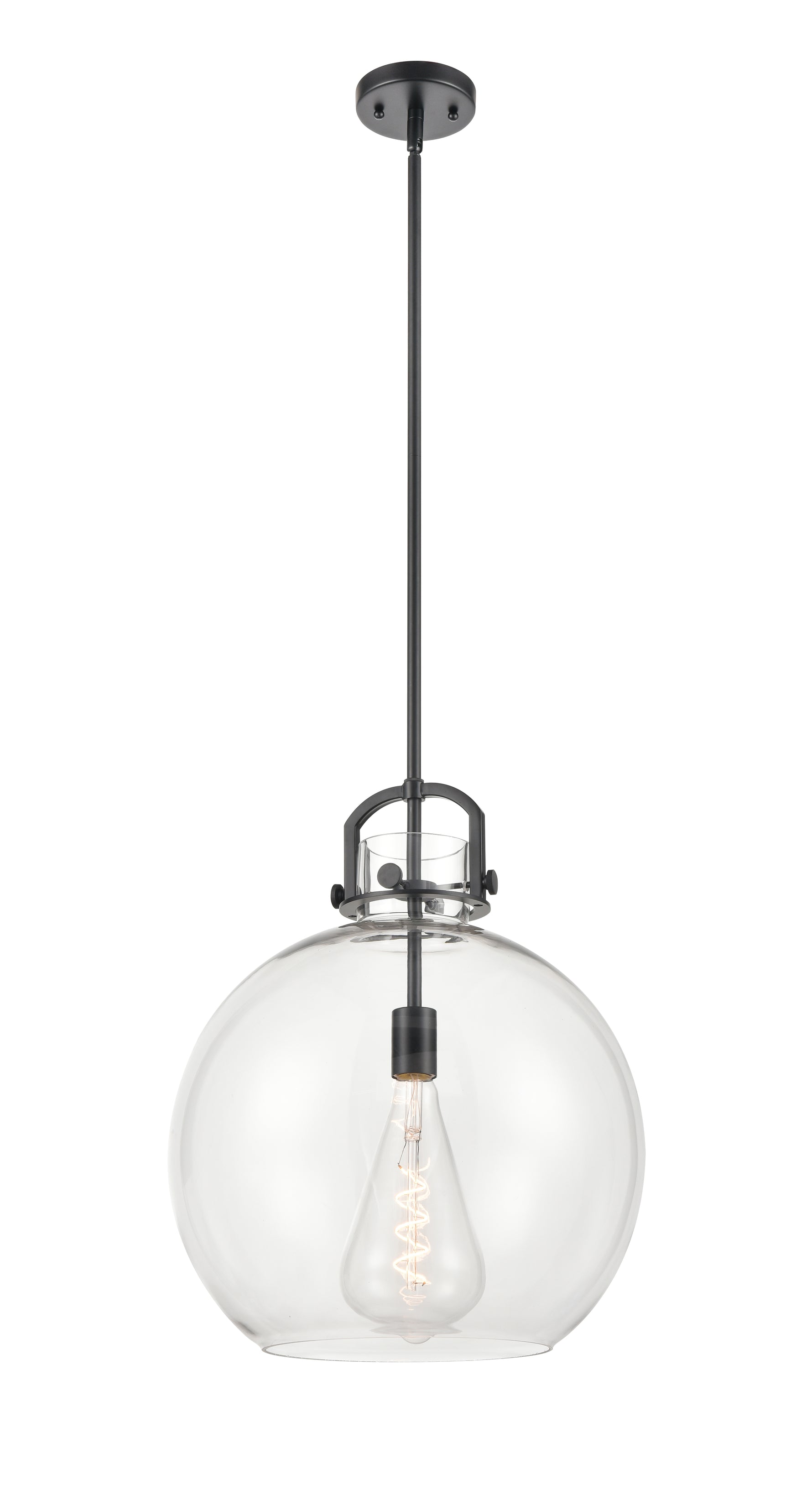 Newton Sphere - 1 Light - 16 inch - Matte Black - Pendant