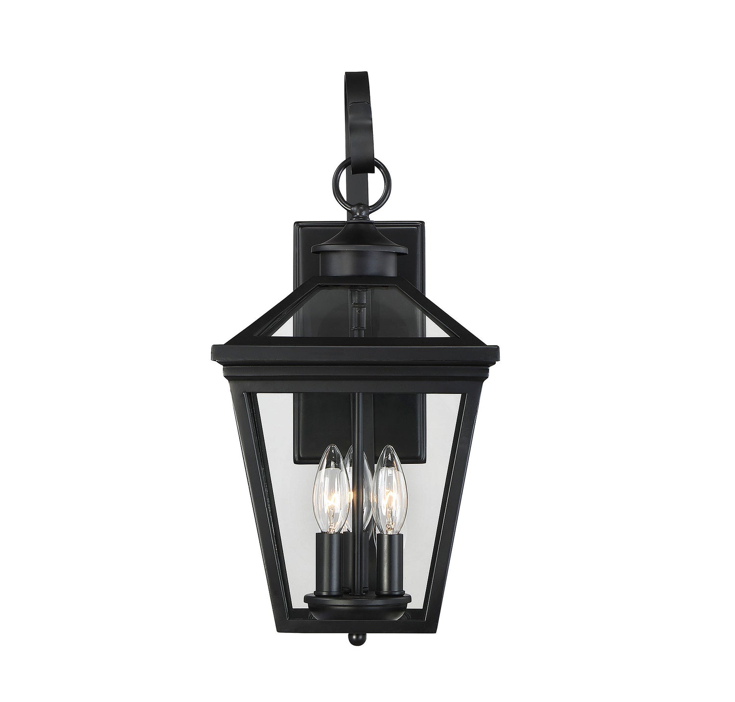 Ellijay 3-Light Outdoor Wall Lantern