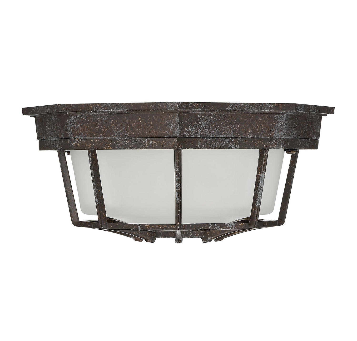 Exterior Collections 1-Light Outdoor Ceiling Light