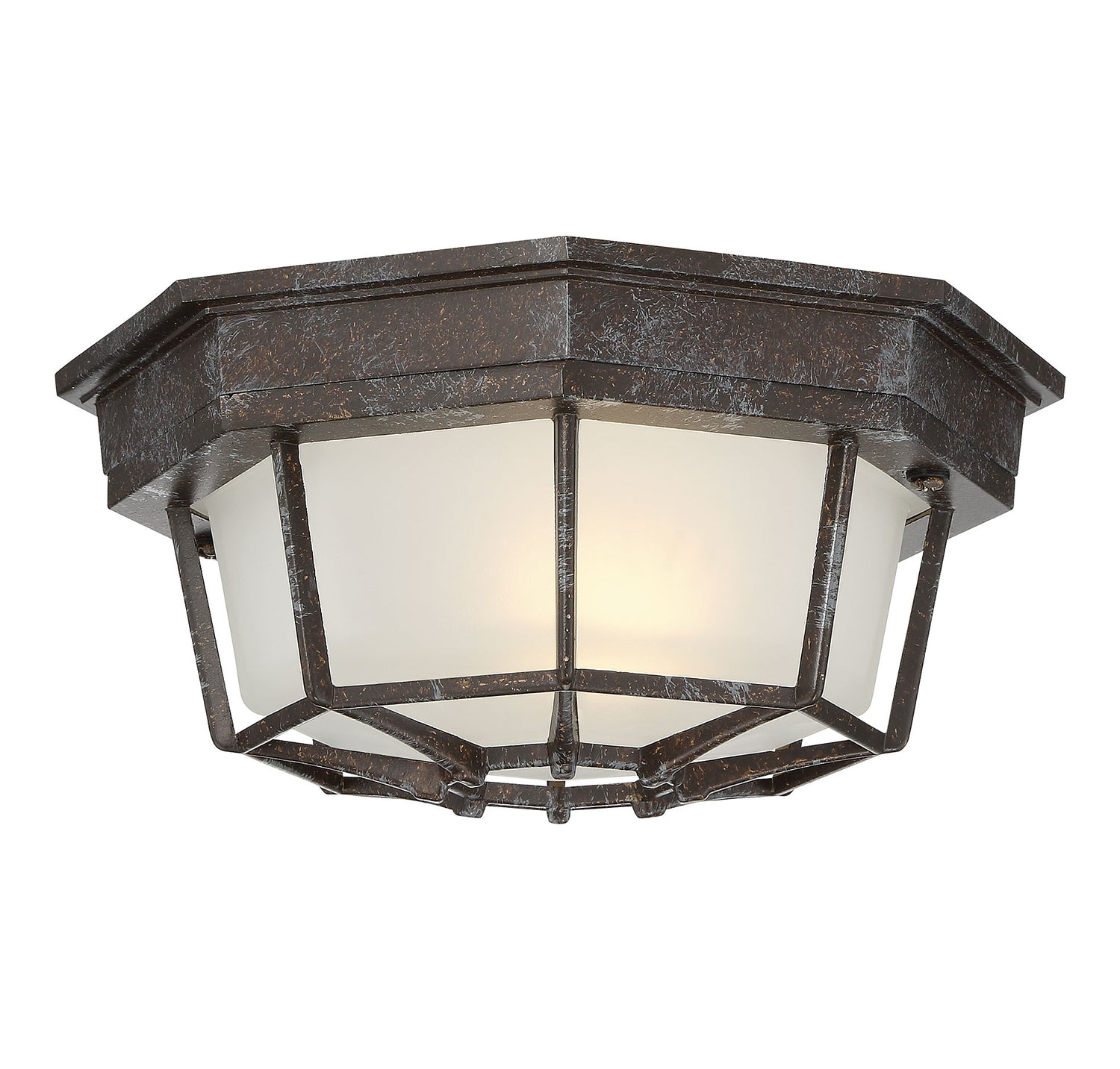 Exterior Collections 1-Light Outdoor Ceiling Light