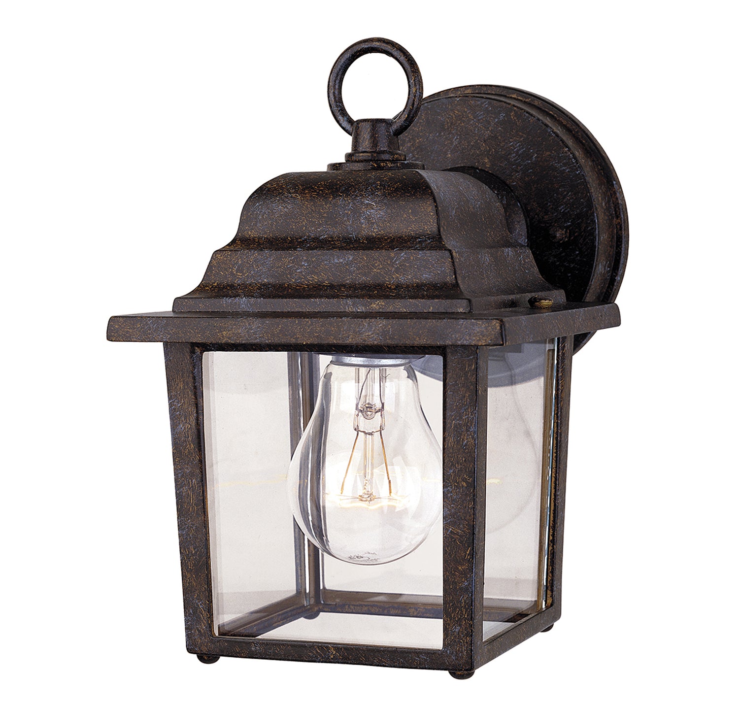 Exterior Collections 1-Light Outdoor Wall Lantern
