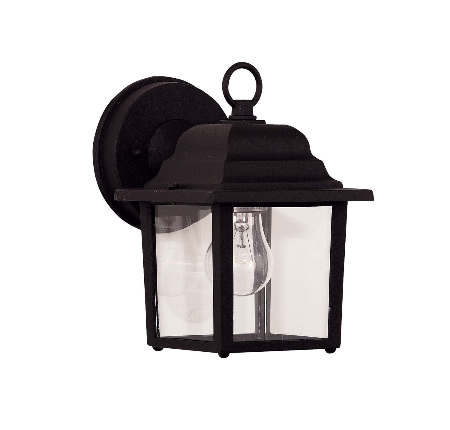 Exterior Collections 1-Light Outdoor Wall Lantern