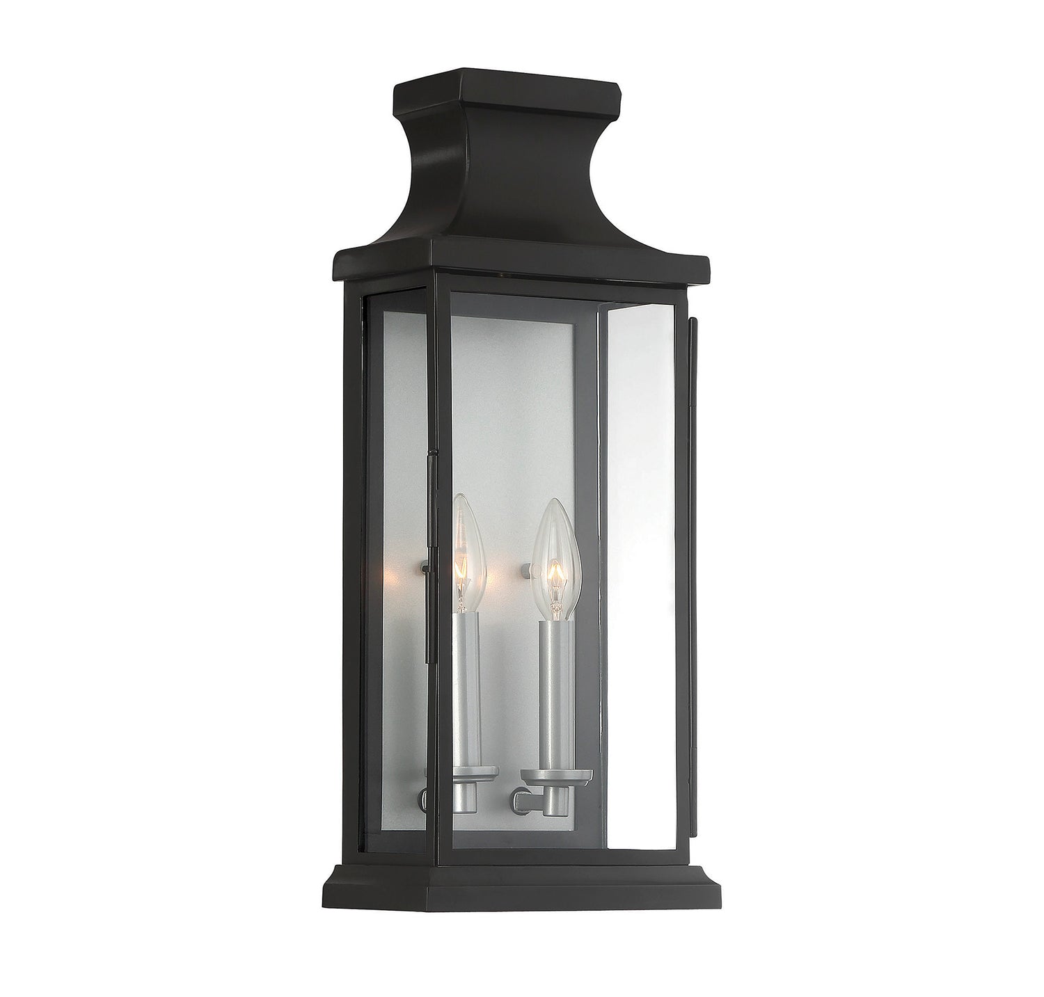 Brooke 2-Light Outdoor Wall Lantern in Matte