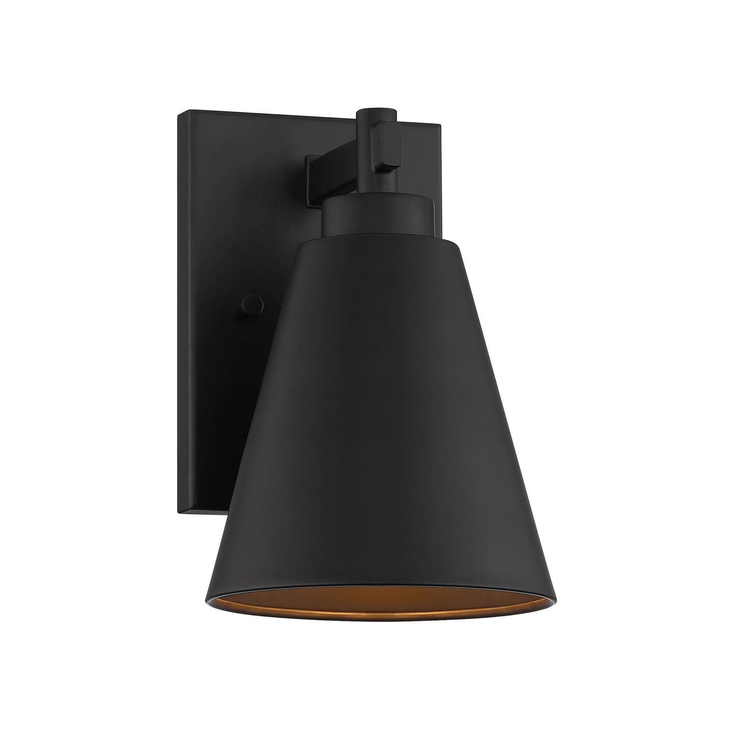 Ryder 1-Light Outdoor Wall Lantern