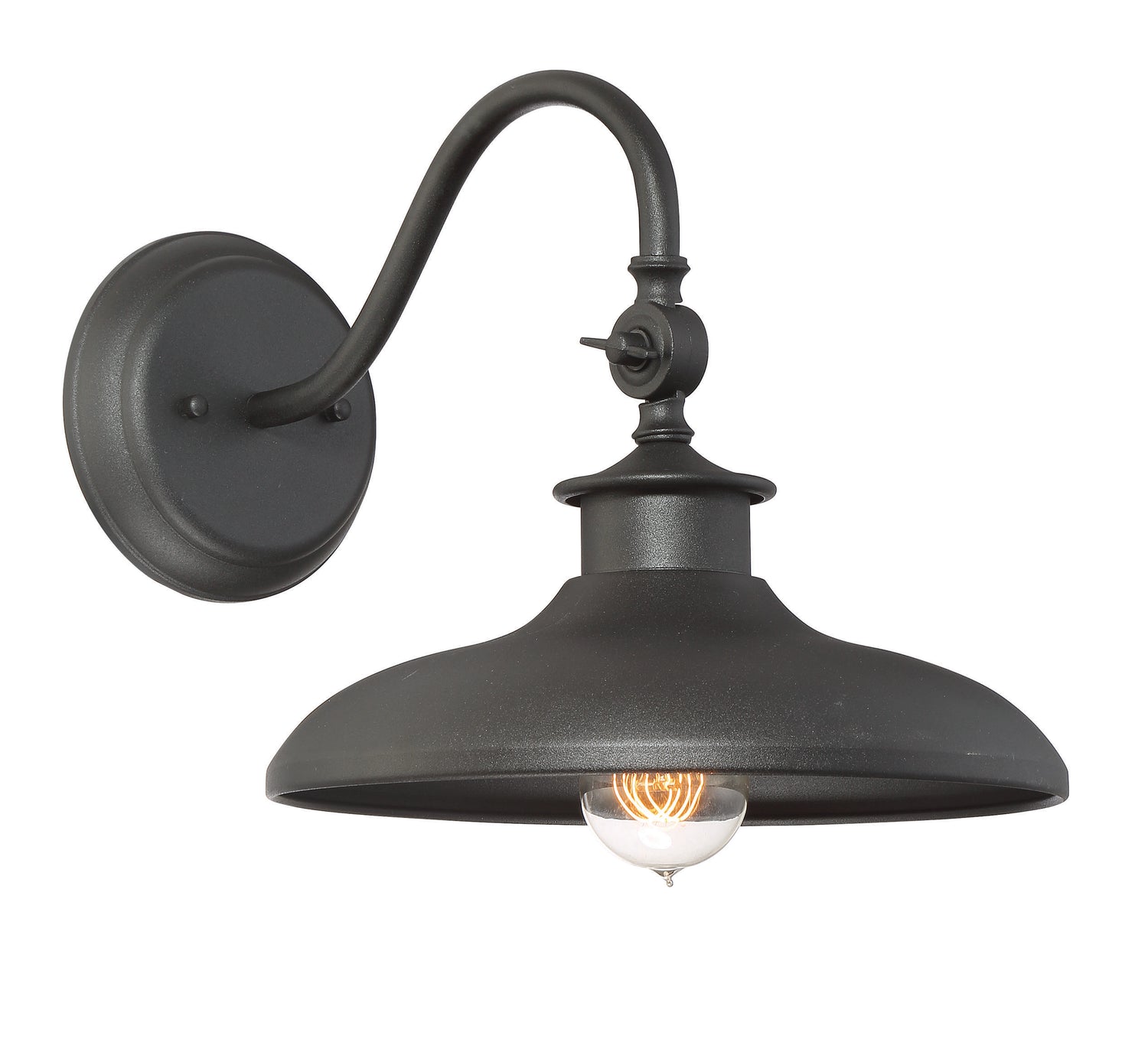 Raleigh 1-Light Outdoor Wall Lantern