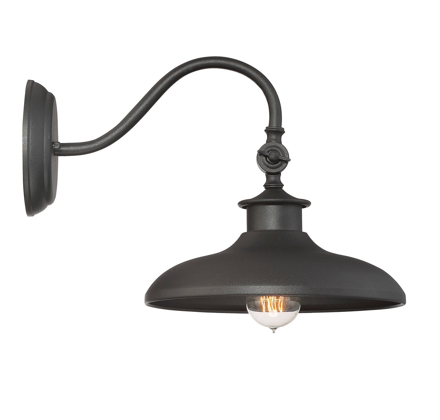 Raleigh 1-Light Outdoor Wall Lantern