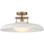 Gavin 1-Light Ceiling Light in Matte Black with Warm Brass Accents