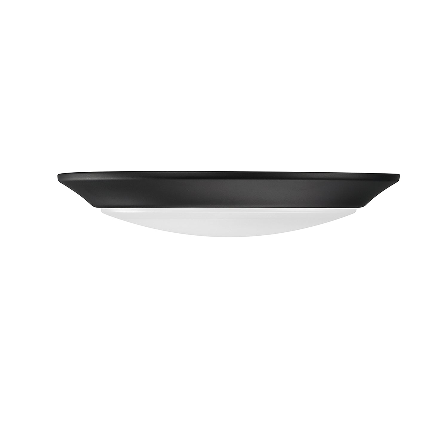 LED Disc Light in Matte