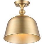 Berg 1-Light Ceiling Light in Matte Black