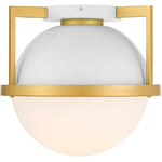 Carlysle 1-Light Ceiling Light in Matte Black with Warm Brass Accents
