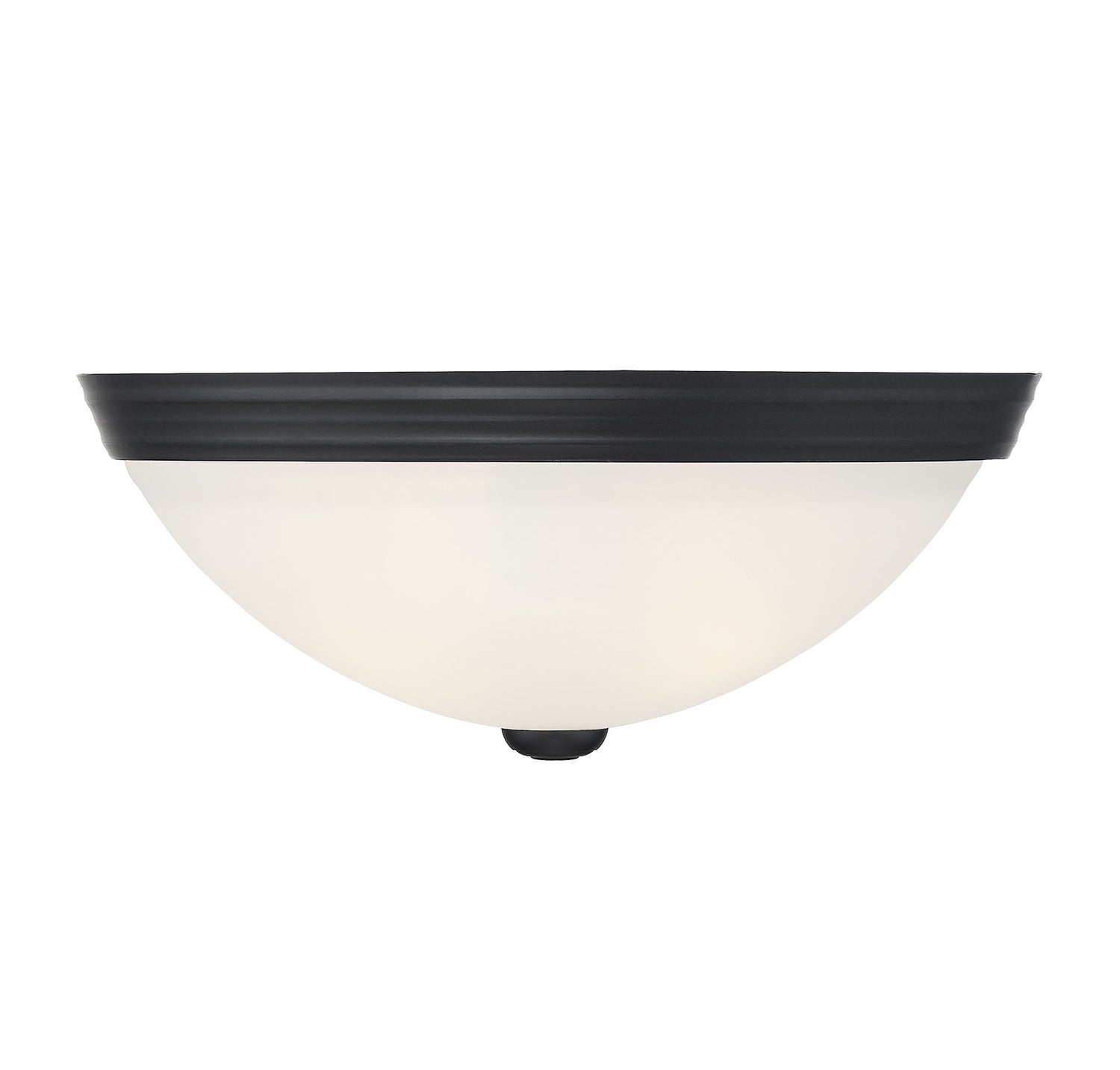 2-Light Ceiling Light