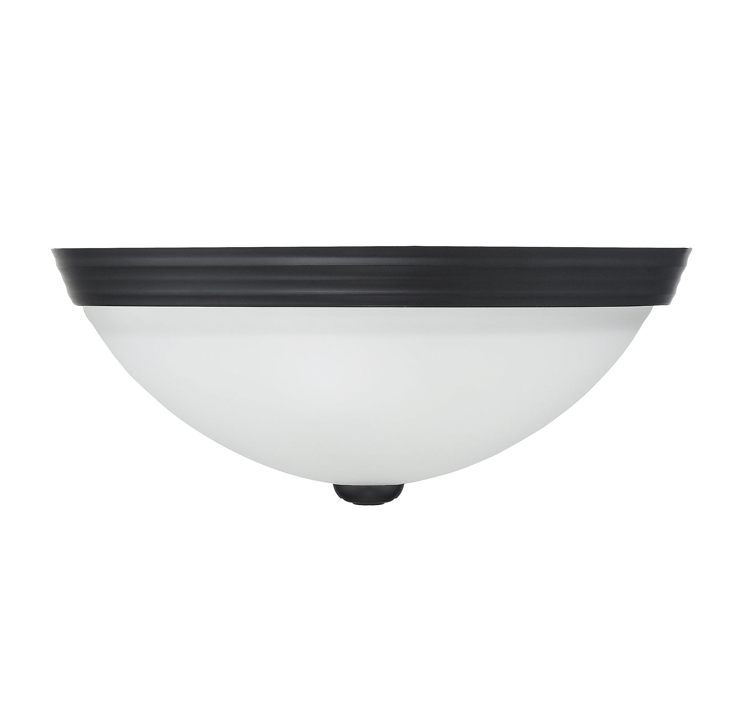 2-Light Ceiling Light