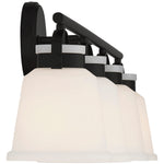 Kaden 4-Light - Kaden Bathroom Vanity Light by Savoy House