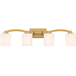 Whitney 4-Light Bathroom Vanity Light in Matte Black