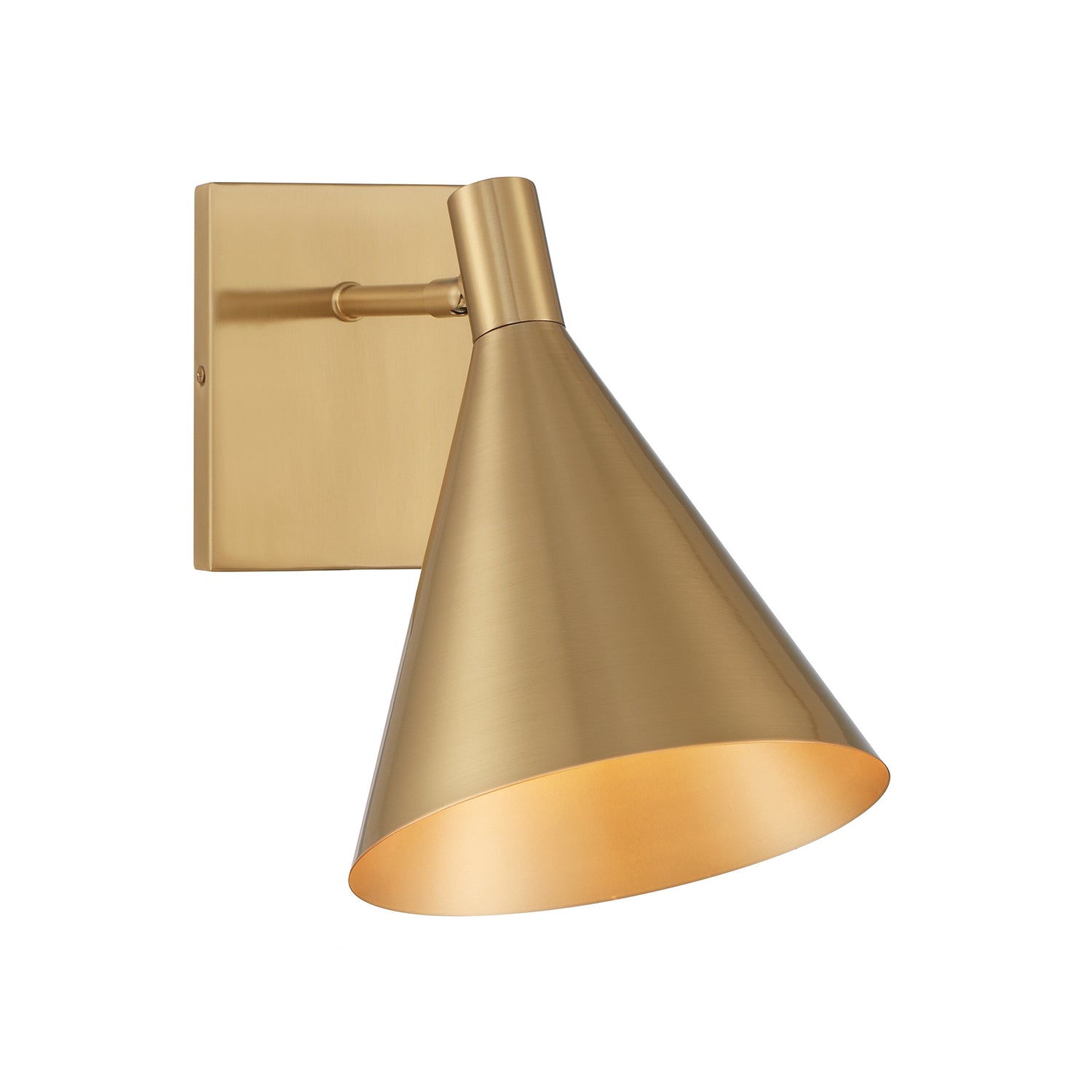 Pharos 1-Light Adjustable Wall Sconce