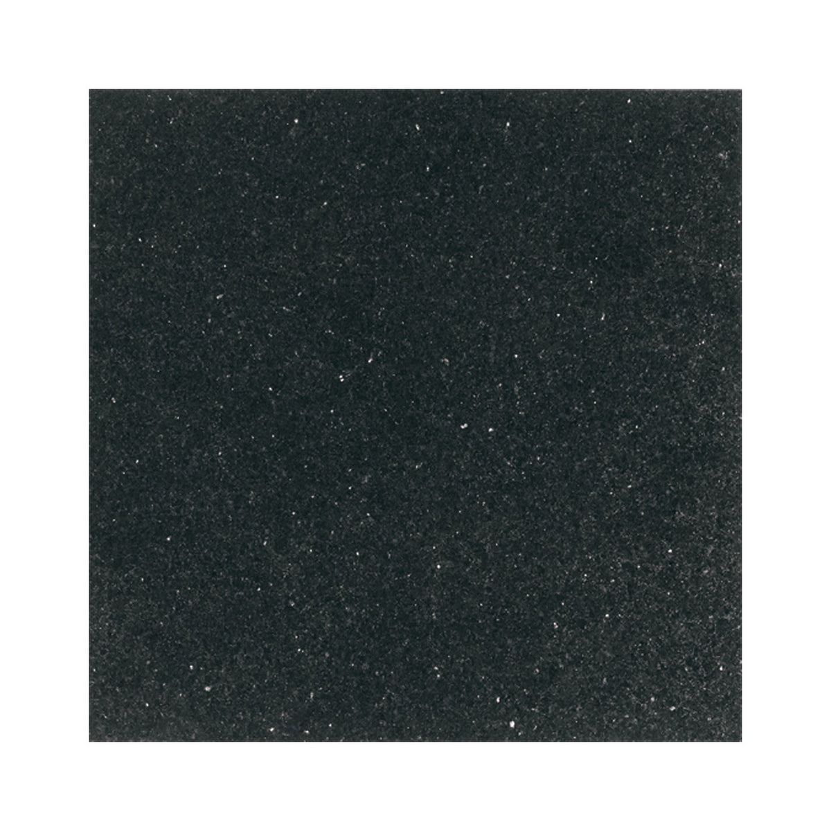 Daltile Granite Galaxy Black