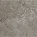 Daltile Scripter Rebel stone-look porcelain tile