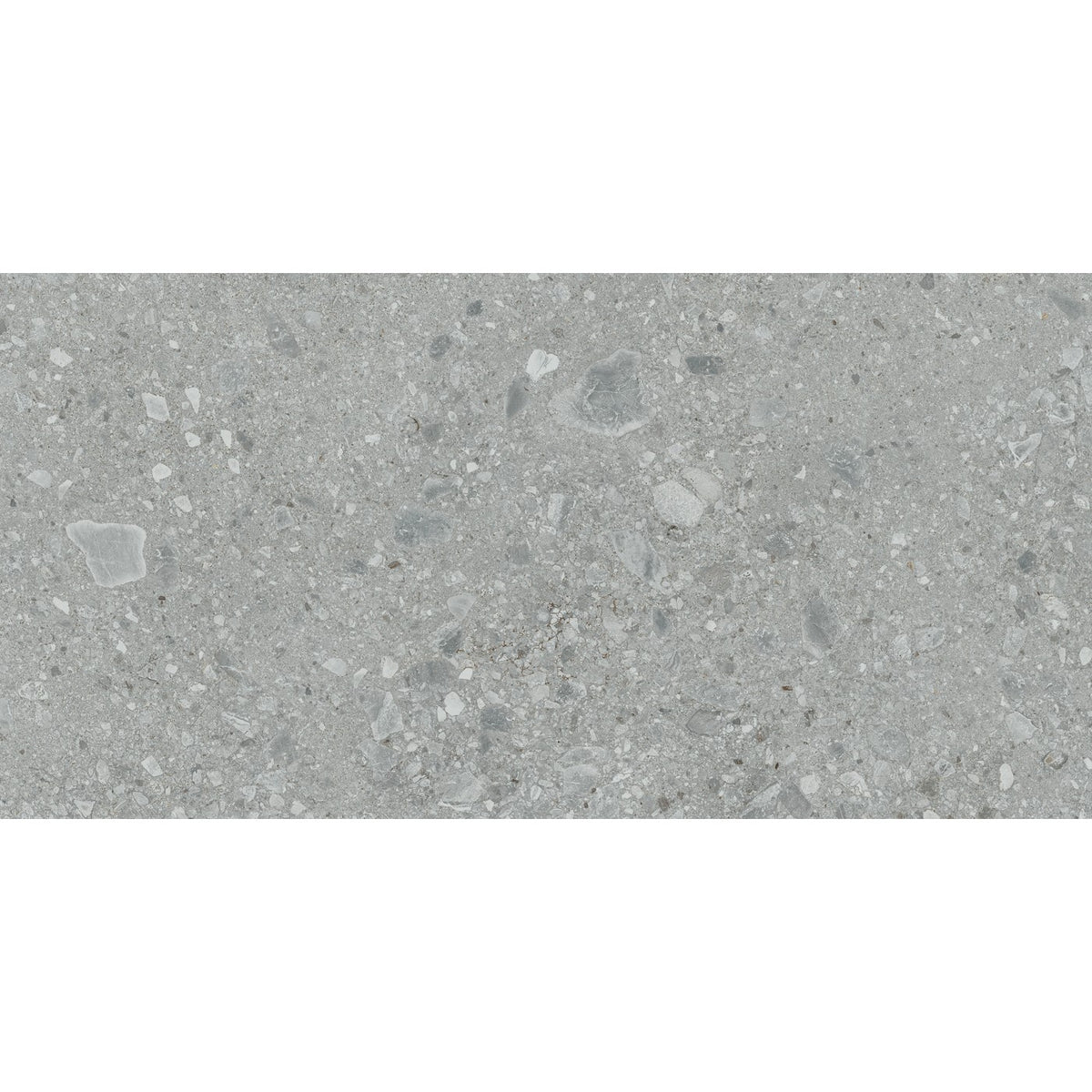 Daltile Assemble Proxy 12x24