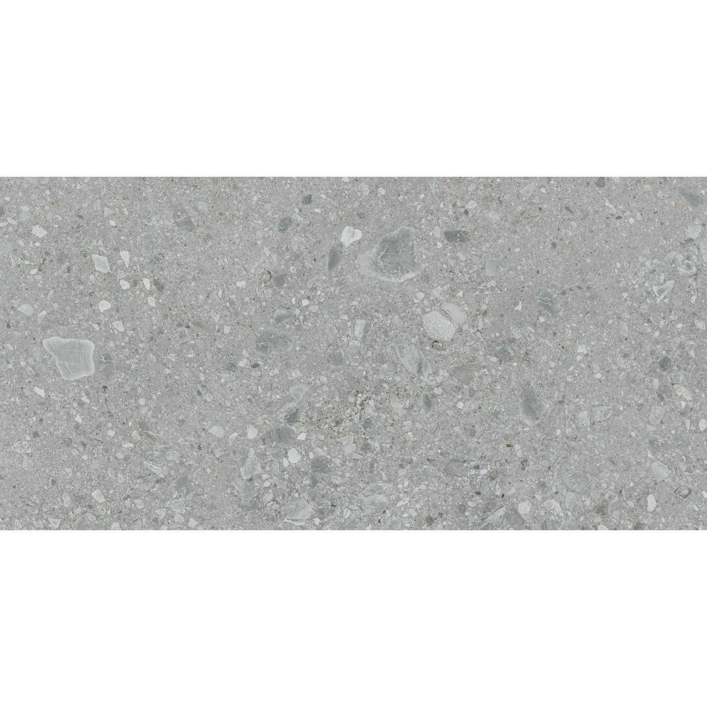Daltile Assemble Proxy 12x24