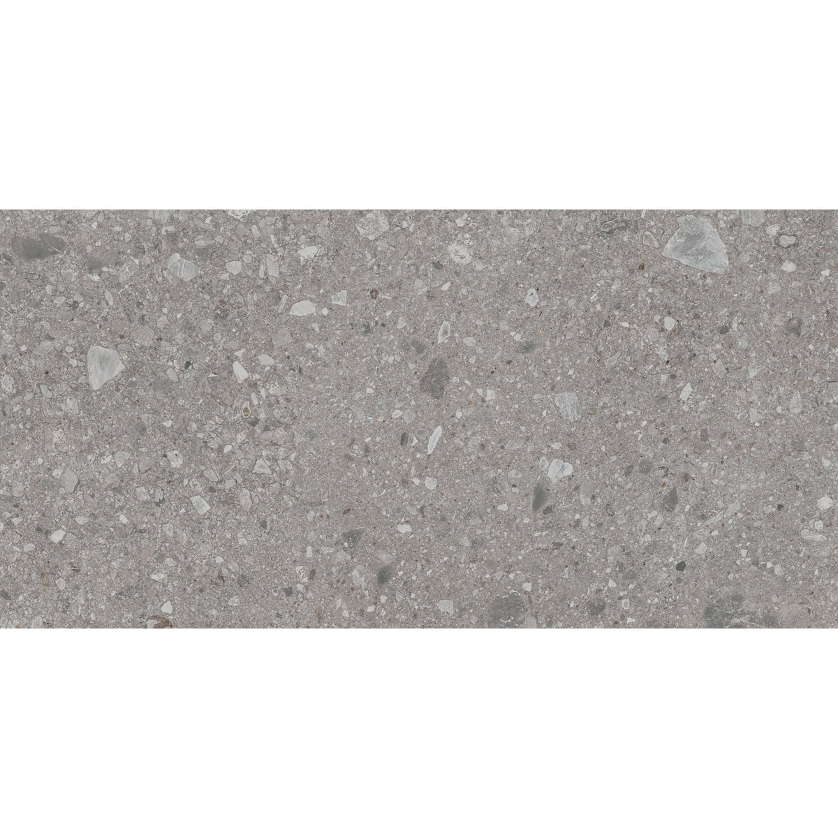 Daltile Assemble Magistrate 12x24