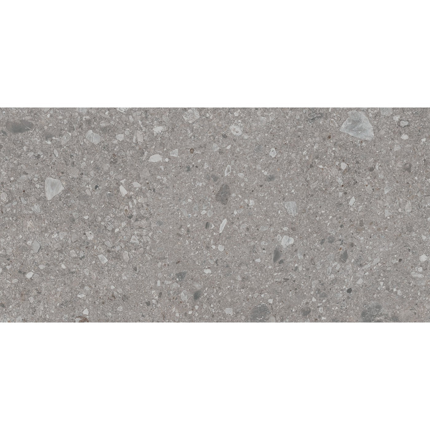 Daltile Assemble Magistrate 12x24