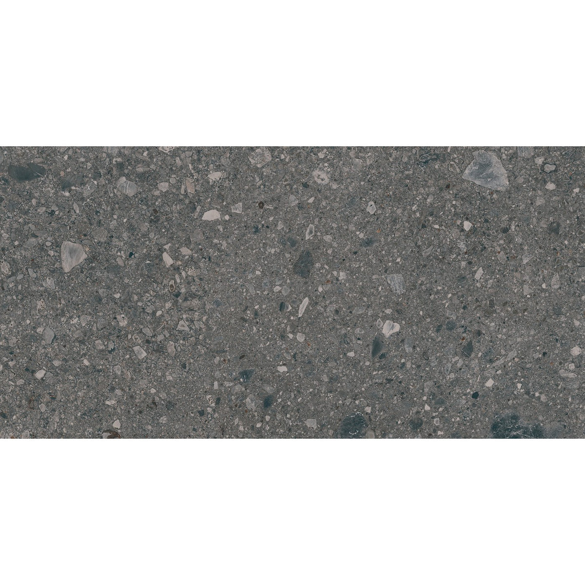 Daltile Assemble Emissary 12x24
