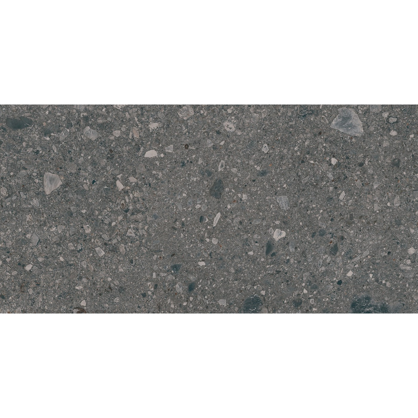 Daltile Assemble Emissary 12x24