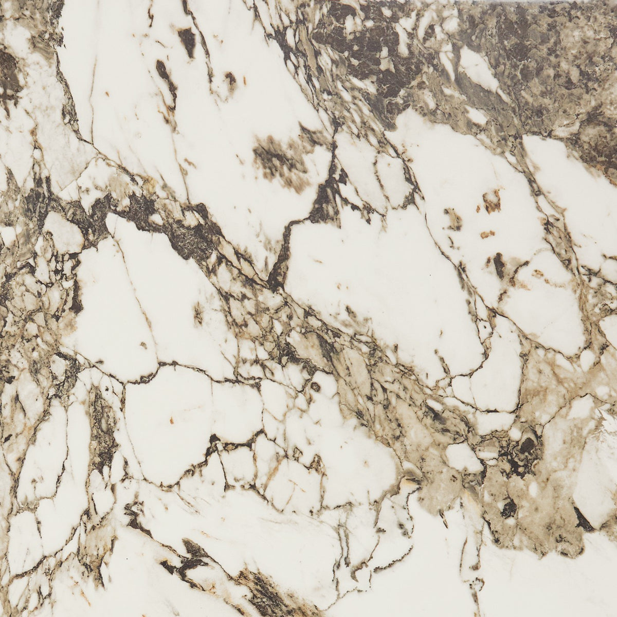 Daltile Panoramic Duet Calacatta Aries tile