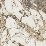 Daltile Panoramic Duet Calacatta Aries tile