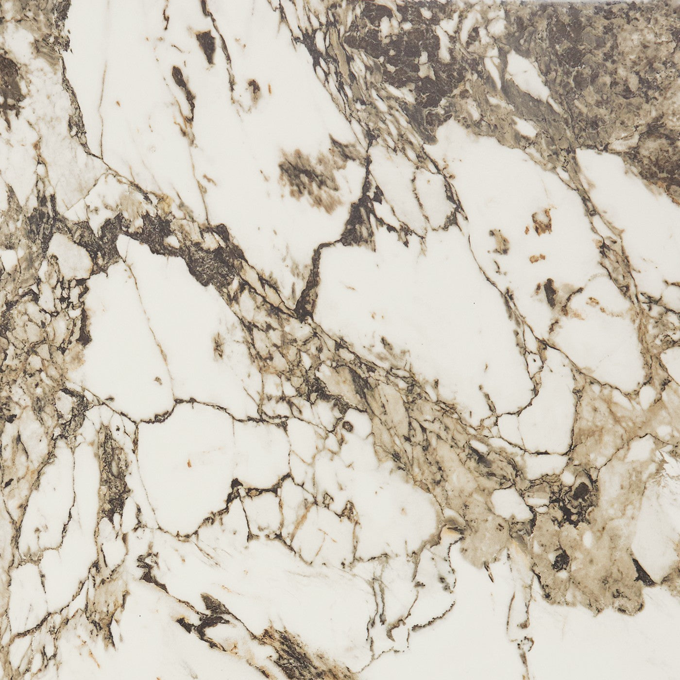 Daltile Panoramic Duet Calacatta Aries tile