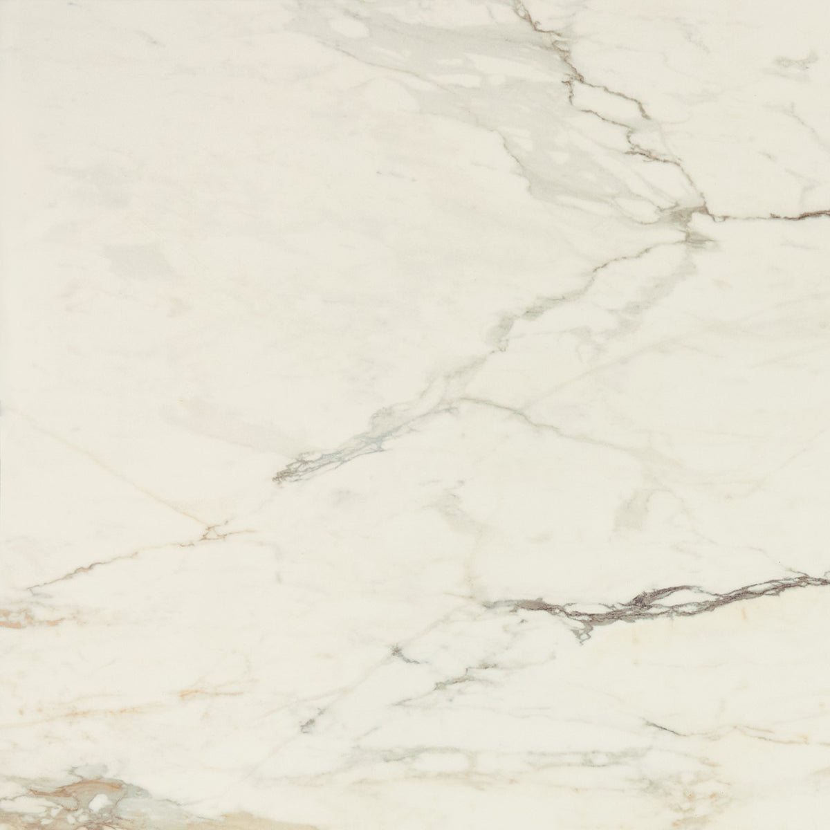 Daltile Panoramic Duet Calacatta Topaz tile