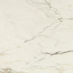 Daltile Panoramic Duet Calacatta Topaz tile