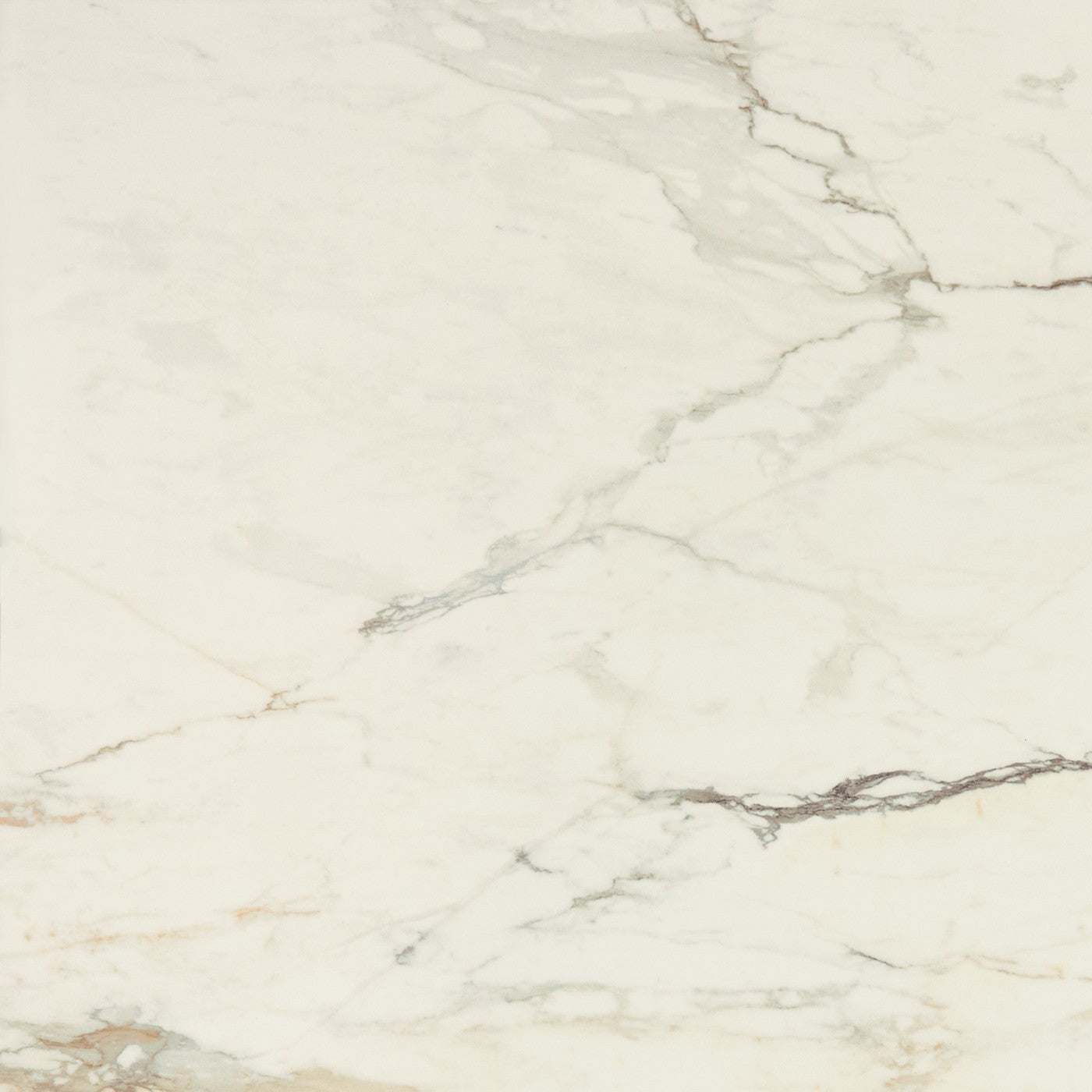 Daltile Panoramic Duet Calacatta Topaz tile
