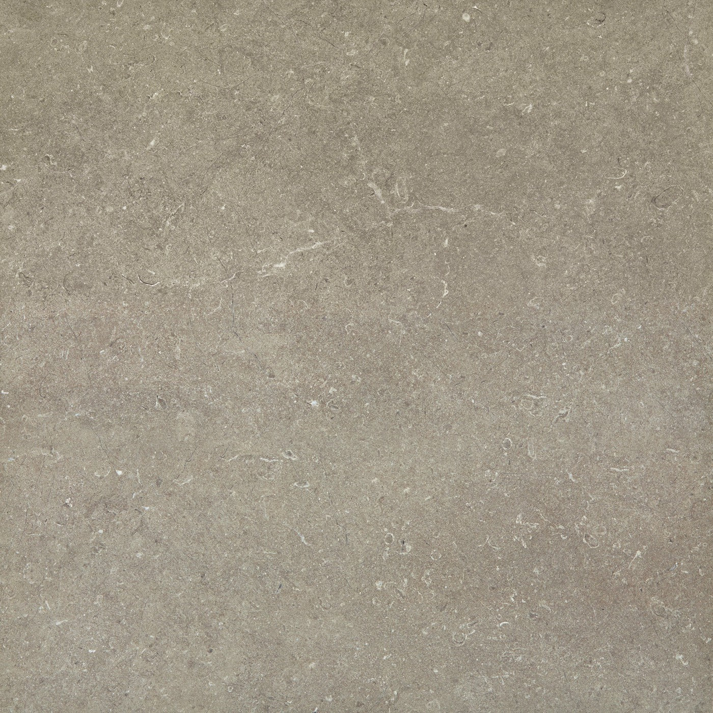 Daltile Courier River stone-look porcelain paver
