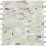 Daltile Decorative Accents Panaro Blend mosaic