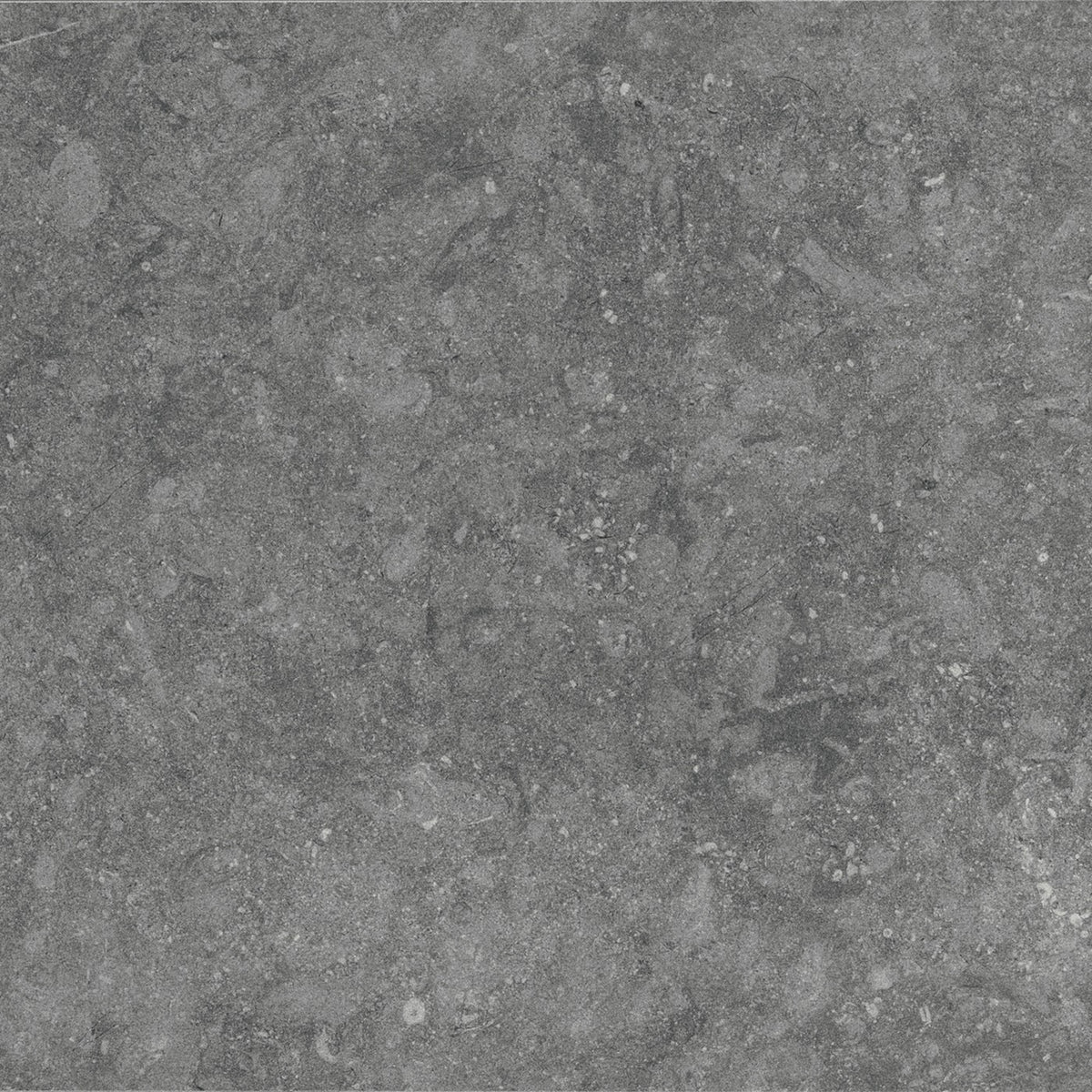 Daltile Diplomacy Light Grey porcelain tile