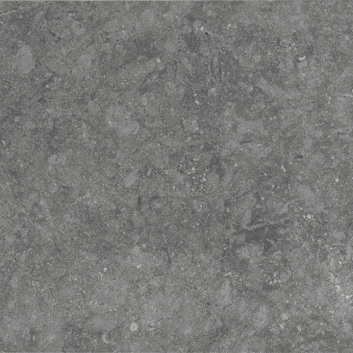 Daltile Diplomacy Light Grey porcelain tile