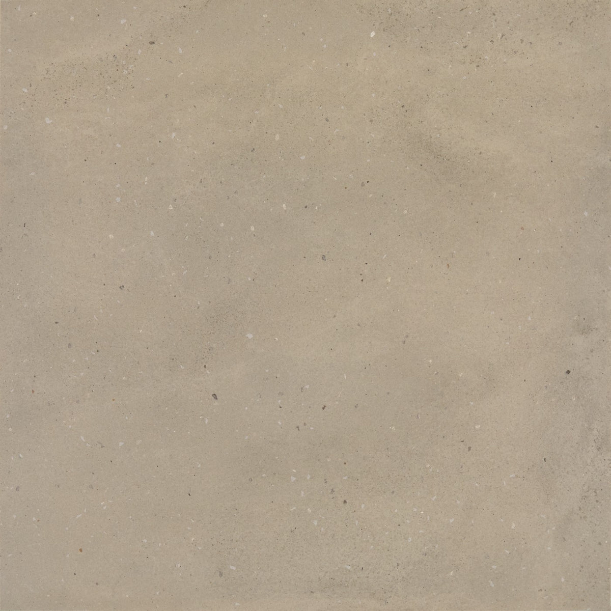 Daltile Exposition Gesso