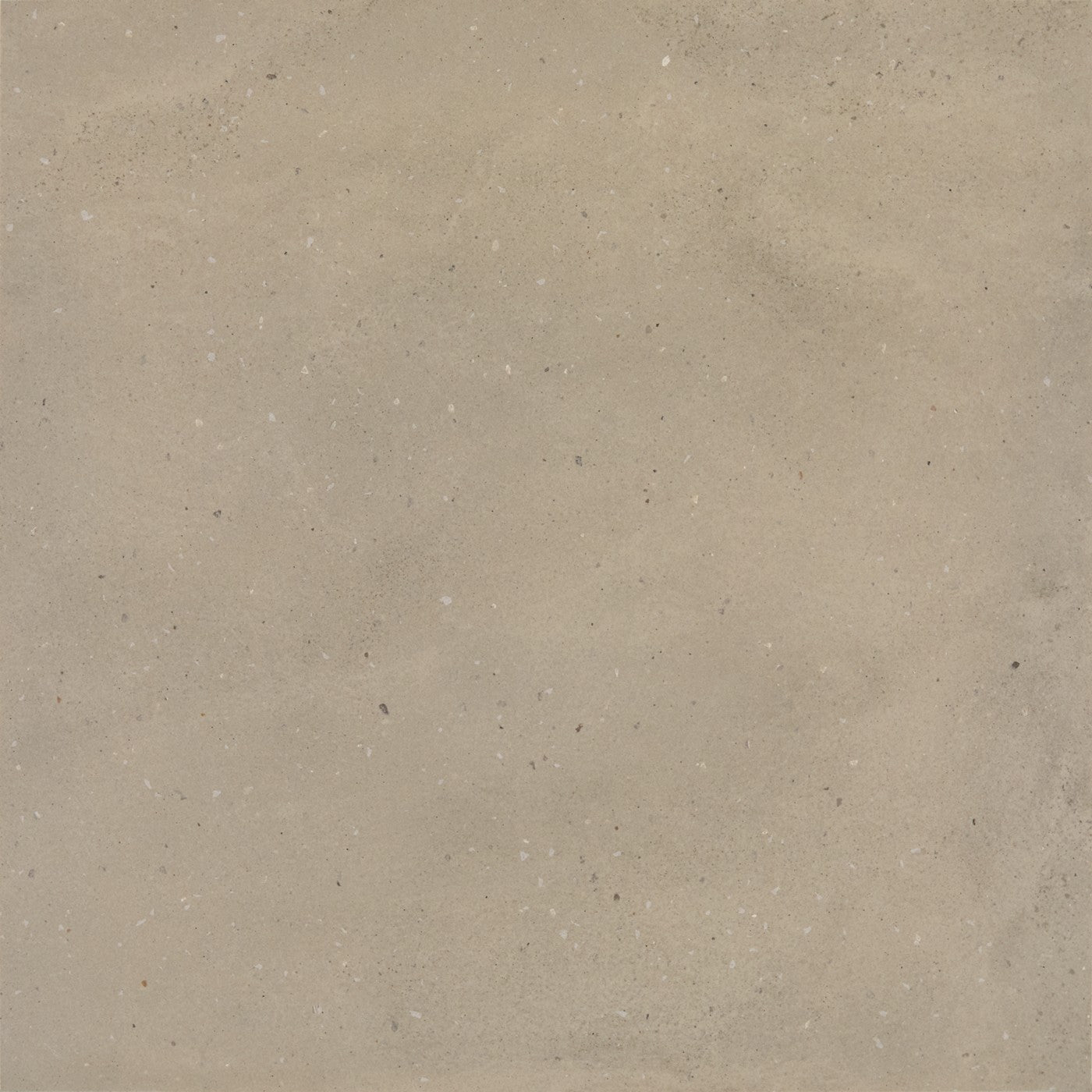 Daltile Exposition Gesso