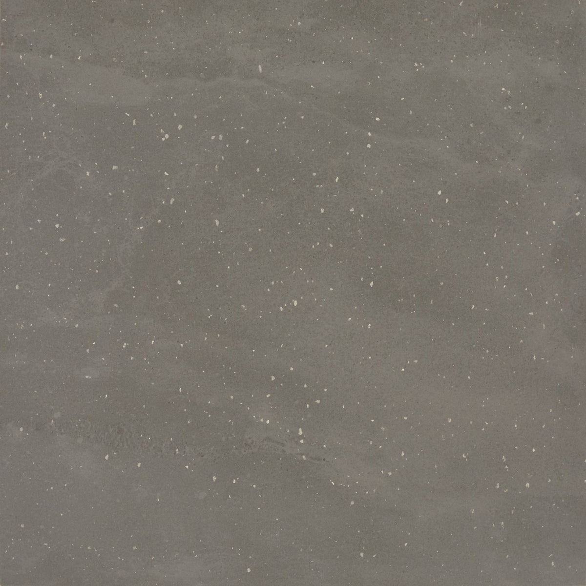 Daltile Exposition Cameo