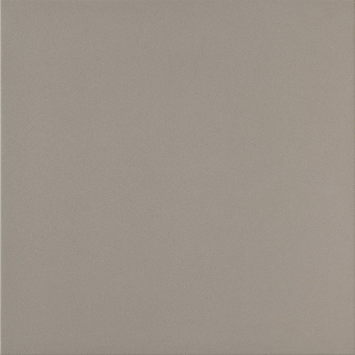 Daltile Harmonist Serenade