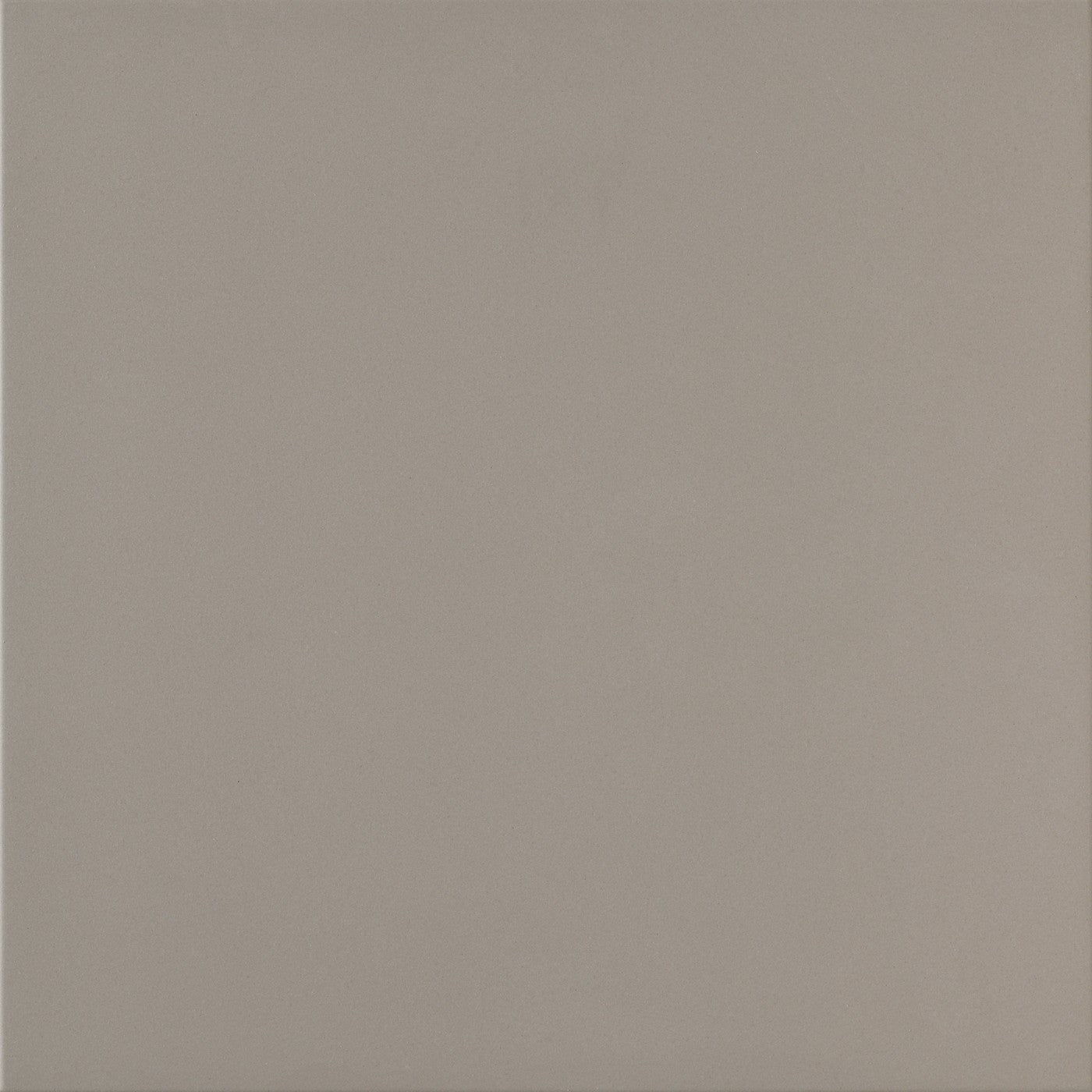 Daltile Harmonist Serenade