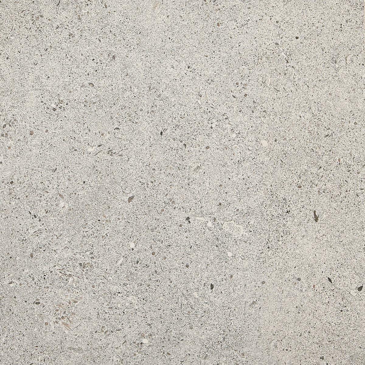 Daltile Industrial Park Light Gray