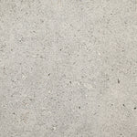 Daltile Industrial Park Light Gray