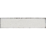 Daltile Iridescent Isles Seashell