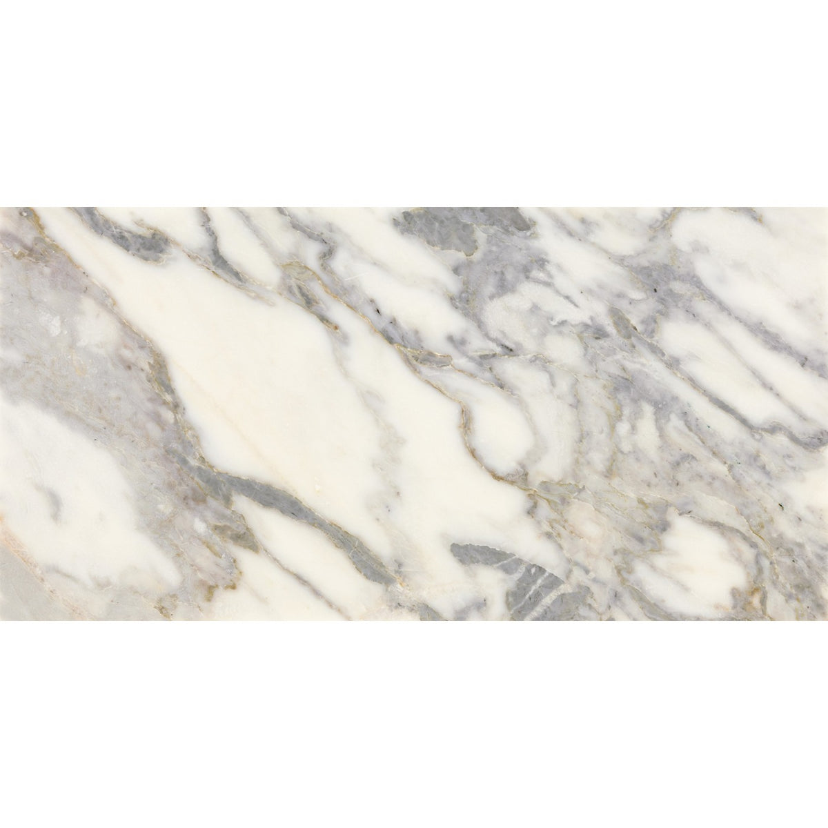 Daltile Eclessia Marble Arabescato Argento 12x24 polished marble tile