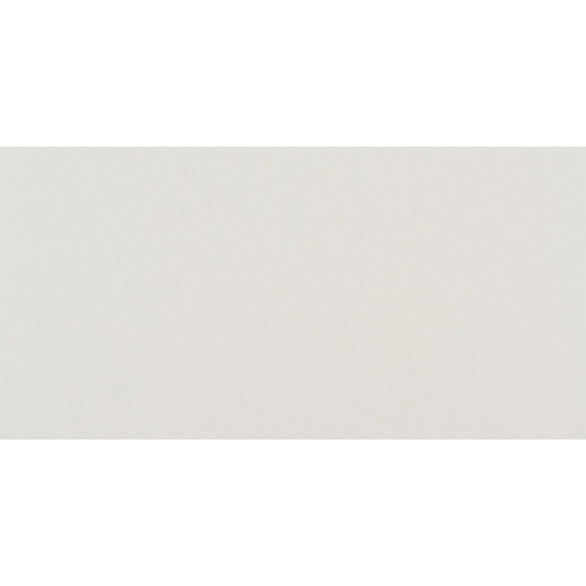 Daltile Median White 12x24